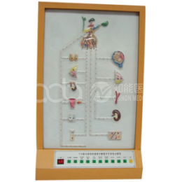 Эффекты гормонов гипоталамуса и гипофиза на электрическую модель целевых органов