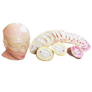 Анатомическая модель среза головы и шеи человека